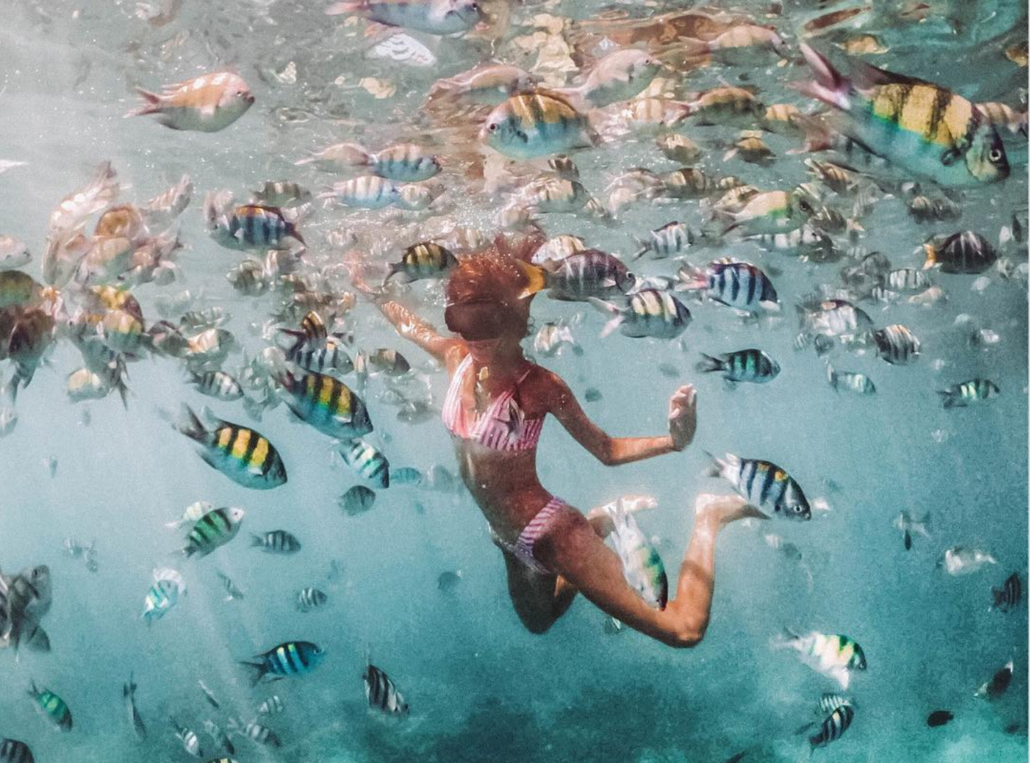 Bạn có thể tưởng tượng nước biển trong vắt như thế nào không? Hãy thử bay ra biển Andaman, và bạn sẽ muốn lặn ở đó hàng giờ. Ảnh: Instagram