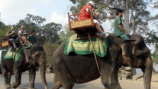 Hình ảnh du khách cưỡi voi. Ảnh: AFP.