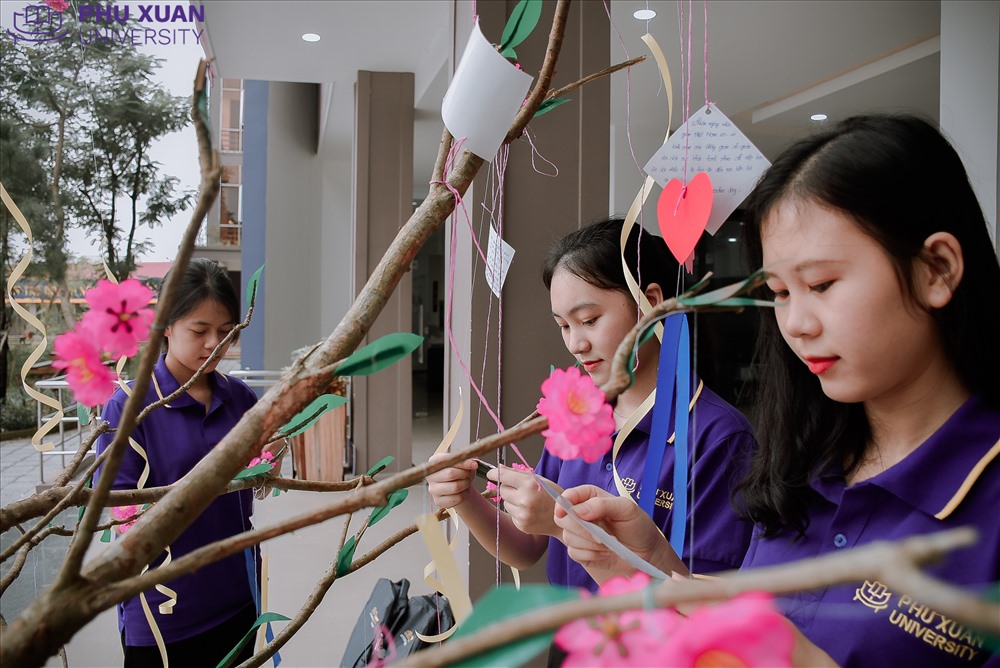 Sinh viên Đại học Phú Xuân Huế trang trí chuẩn bị tri ân các thầy cô giáo. Ảnh: P.H