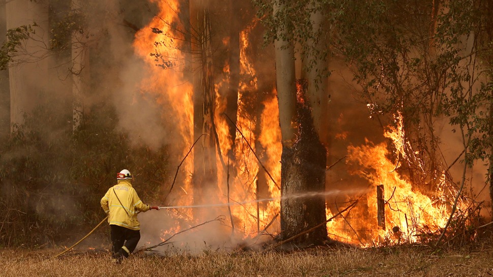 Cháy rừng nghiêm trọng ở hai bang New South Wales và Queensland gây thiệt hại nặng nề. Ảnh: Zee News.