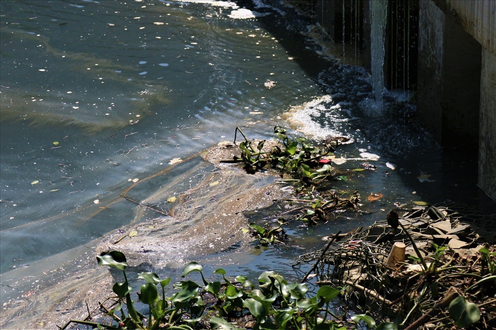Nước thải xả thẳng ra liên tục khiến đoạn sông bị ô nhiễm ngày càng nặng. Ảnh: B.T