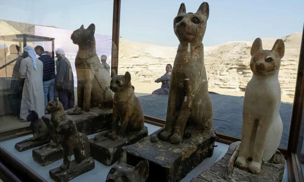Tượng mèo được khai quật ở Saqqara. Ảnh: Reuters