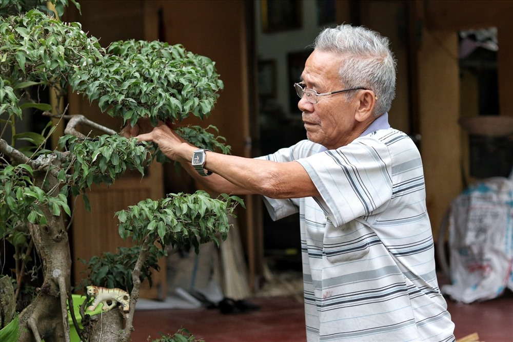 Hằng ngày ông Nguyễn Tiến Thiểu vẫn thường tỉa cây bằng đôi tay một ngón của mình.
