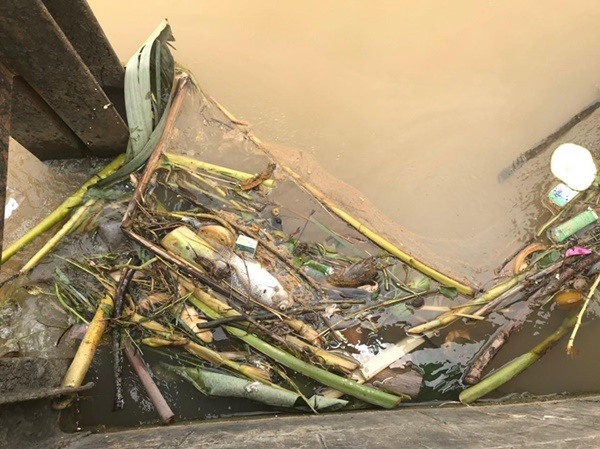 Cá chết nổi lềnh bềnh cùng rác thải trên mặt kênh.