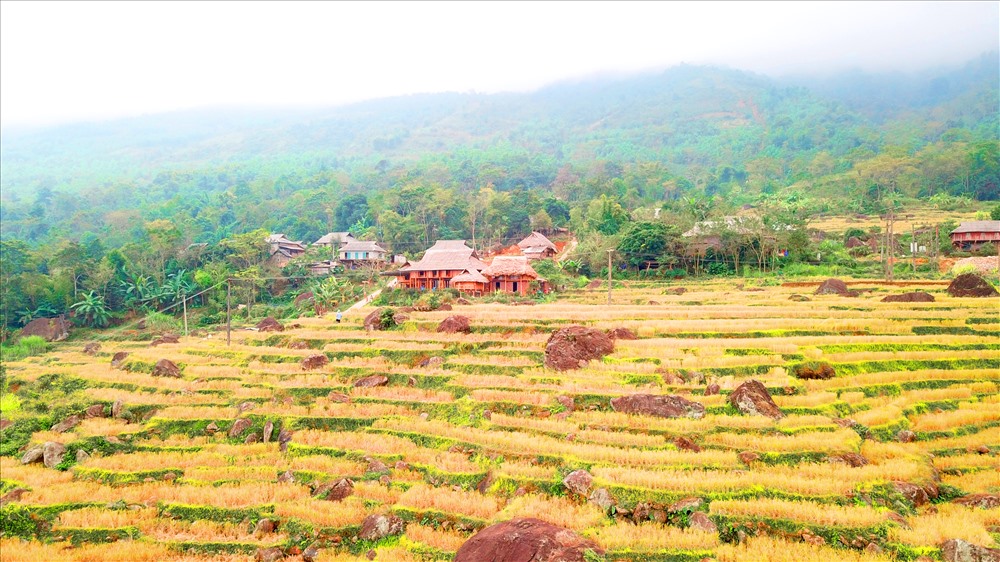 Xen lẫn giữa những thửa ruộng bậc thang là những nếp nhà sàn giản dị nép mình bên sườn đồi. Ảnh: NT