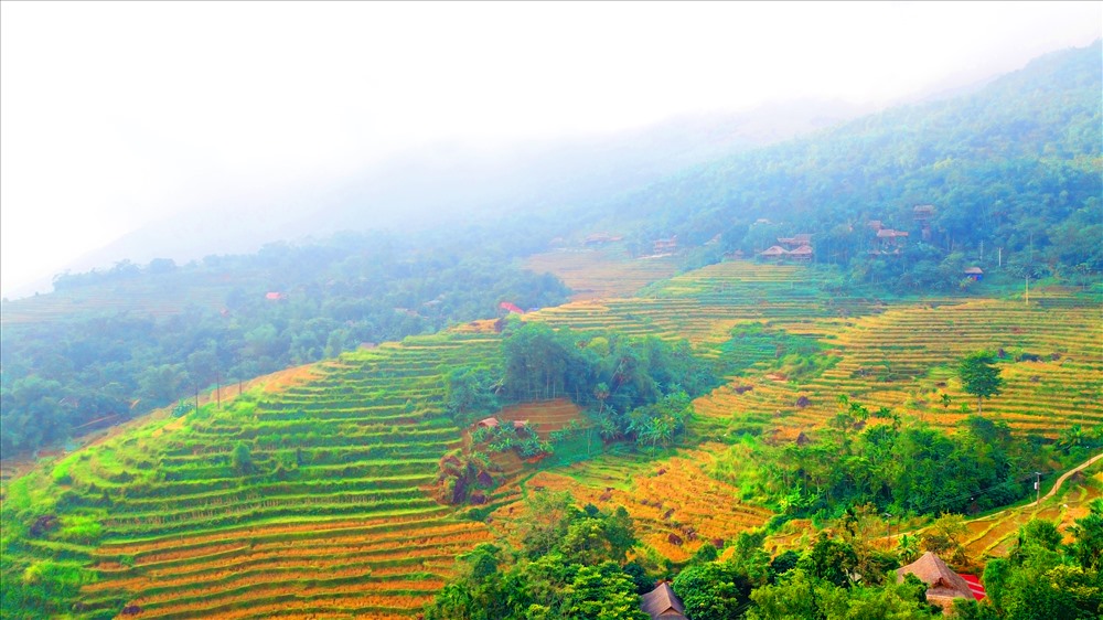Ở độ cao gần 2.000m, khí hậu ở Phù Luông mát mẻ về mùa hè, lạnh giá về mùa đông. Ảnh: NT