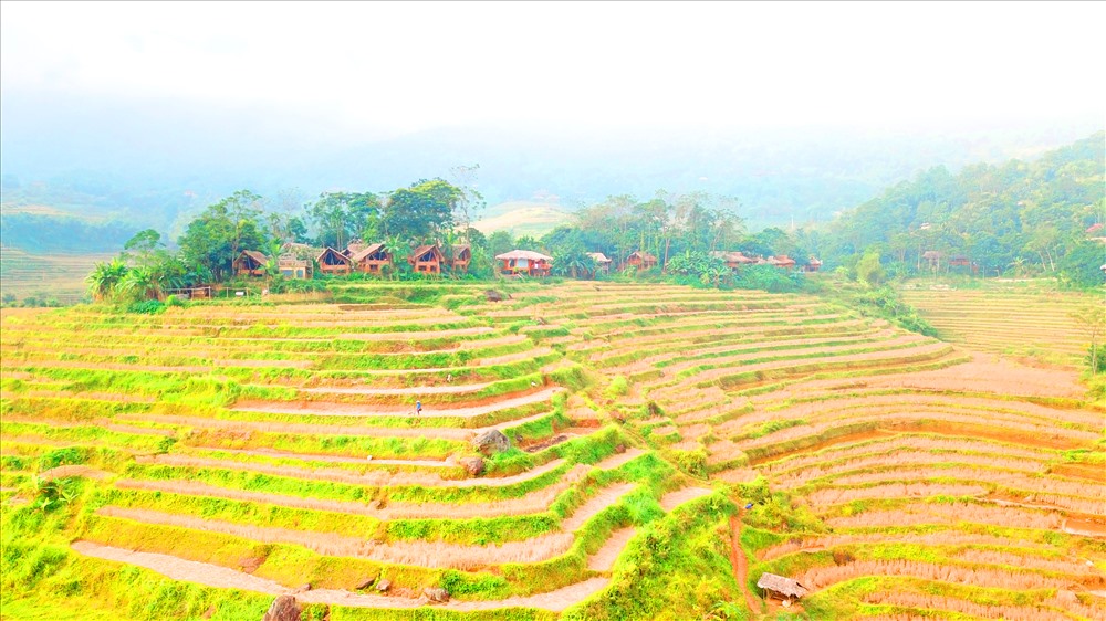 Vào thời điểm tháng 9 và tháng 10, đây là thời điểm Pù Luông bước sang mùa lúa chín, những khu vực ruộng bậc thang ở bên sườn đồi sẽ khoác lên mình một lớp áo màu vàng rực rỡ. Ảnh: NT