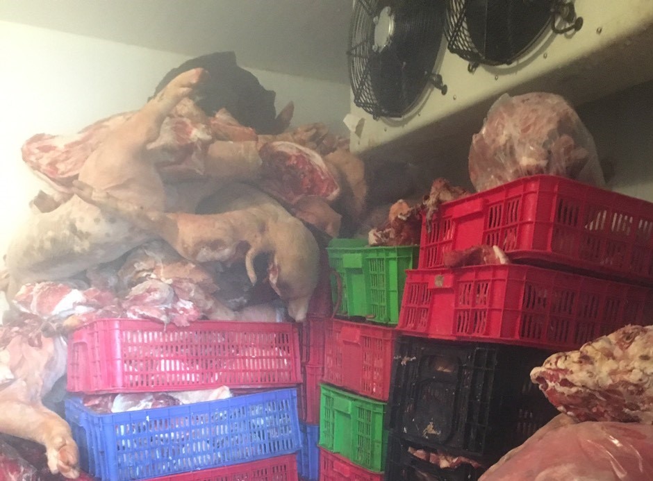 Toàn bộ số thịt lợn bị buộc tiêu hủy. Ảnh: AX