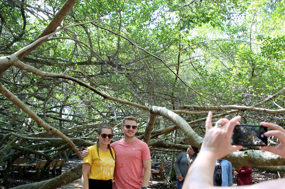 Khách du lịch người nước ngoài trầm trồ, lưu lại những bức ảnh bên cây Gừa cổ thụ.