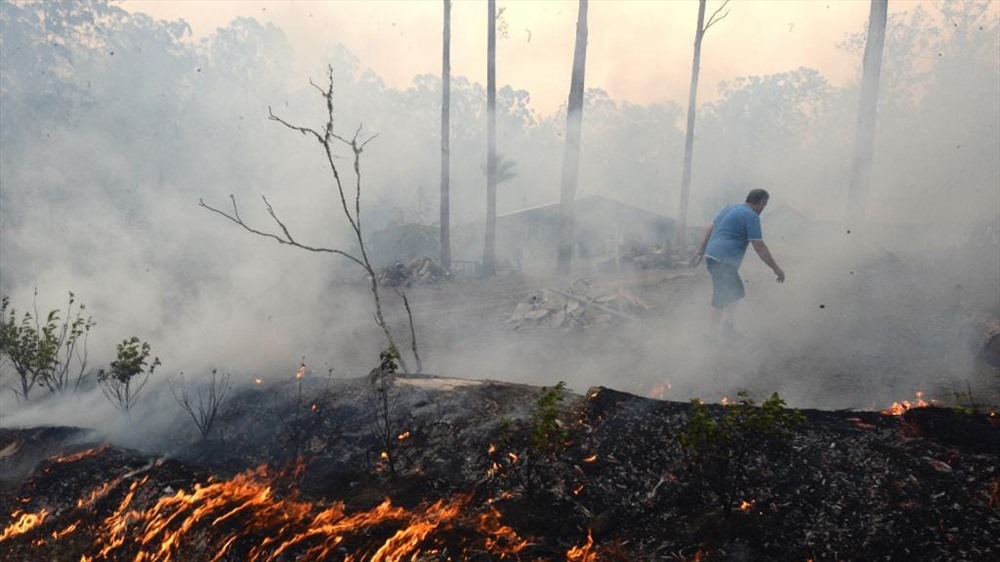 Theo DT, New South Wales đang trải qua cuộc khủng hoảng cháy rừng chưa từng có khi 99 đám cháy khắp bang hôm 8.11, trong đó có 8 đám cháy ở mức độ báo động. Ảnh: DT.