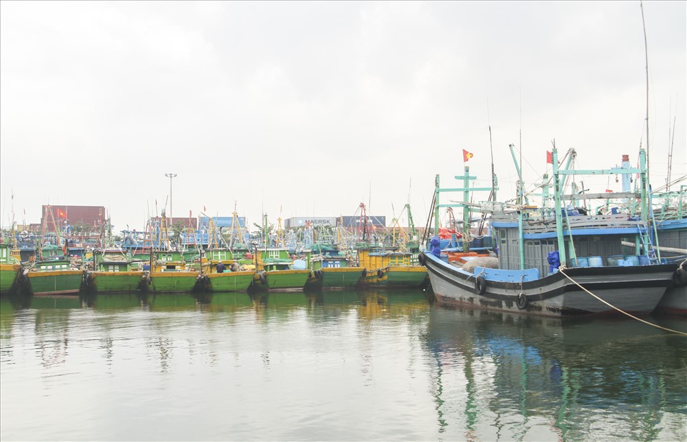 Tàu cá neo đậu tại Cảng cá Quy Nhơn.