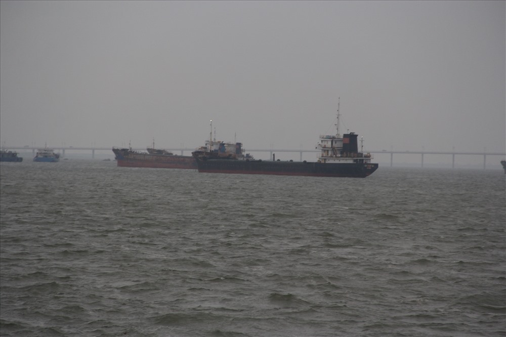 Các tàu hàng được đưa vào trong đầm Thị Nại để tránh bão.