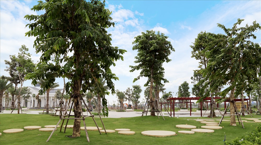 Mảng xanh, không gian cộng đồng luôn được chú trọng tại Him Lam Green Park