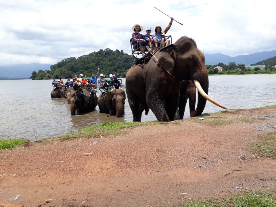 Nhiều năm qua, voi chủ yếu được người dân các tỉnh Tây Nguyên khai thác để làm du lịch. Ảnh; P.V