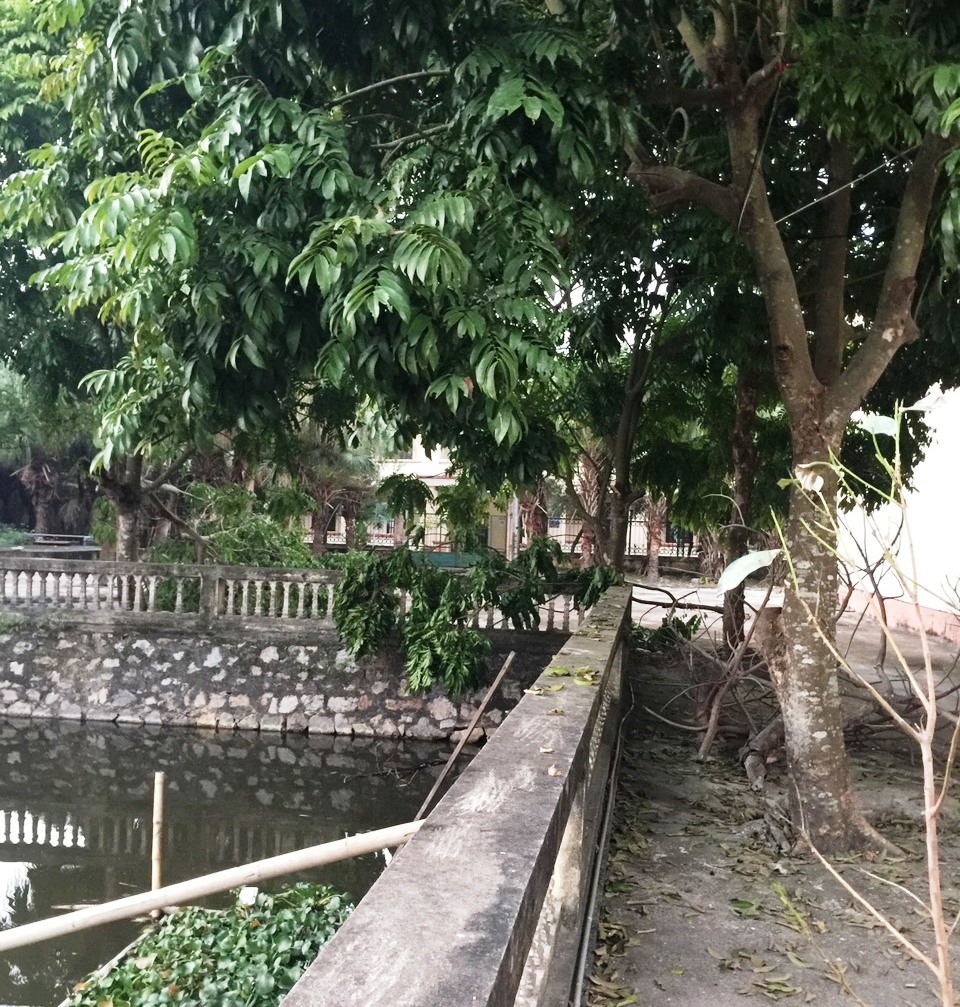Ao nước trong khuôn viên Bệnh viện, nơi phát hiện thi thể ông Phú. Ảnh: NT