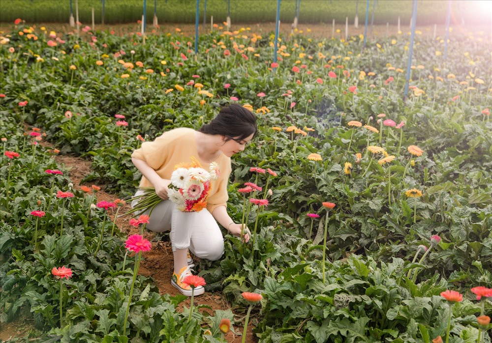 Người đẹp cho biết, việc trồng hoa và rau cỏ giúp cô thư giãn sau những giờ làm việc căng thẳng.