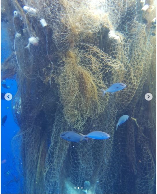 Hình ảnh lưới ma chết chóc khiến hàng trăm con cá mập bỏ mạng. Ảnh: Yahoo.
