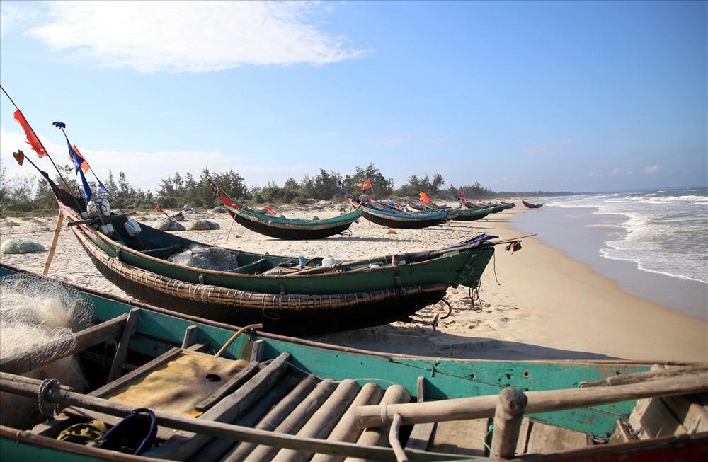 Thuyền của ngư dân vùng bãi ngang ở tỉnh Quảng Trị dịp này không lật úp nằm trên cát, thay vào đó là dày đặc các chuyến ra biển, khi trở về đầy ắp cá cho giá trị kinh tế cao.