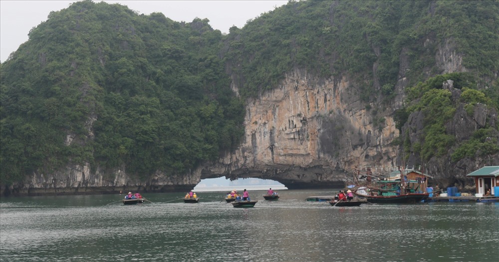 Du khách thăm làng chài Vung Viêng, vịnh Hạ Long. Ảnh: Nguyễn Hùng