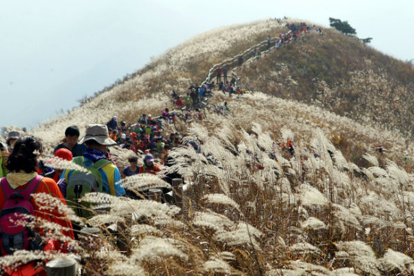 Núi Mindungsan ở Gangwon-do