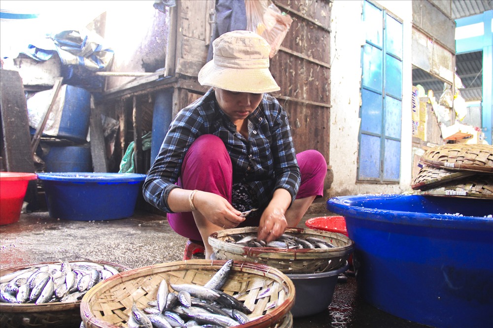 “Nghề này cực lắm, nhưng thu nhập không đáng là bao. Vào những tháng này, biển động ít cá nên công làm khỏe hơn, chứ những tháng cao điểm, tui không có thời gian nói chuyện với anh đâu” - chị Nguyễn Thu Sương (40 tuổi, ở phường Hải Cảng) kể.