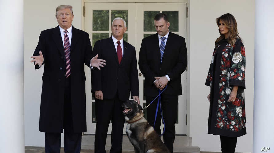 Chú chó Conan từng tham gia tiêu diệt thủ lĩnh IS được đưa tới Nhà Trắng hồi tháng 11. Ảnh: AP.