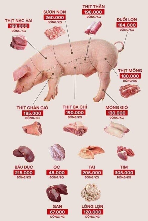 Bất kỳ bộ phận nào của lợn cũng là tiền.