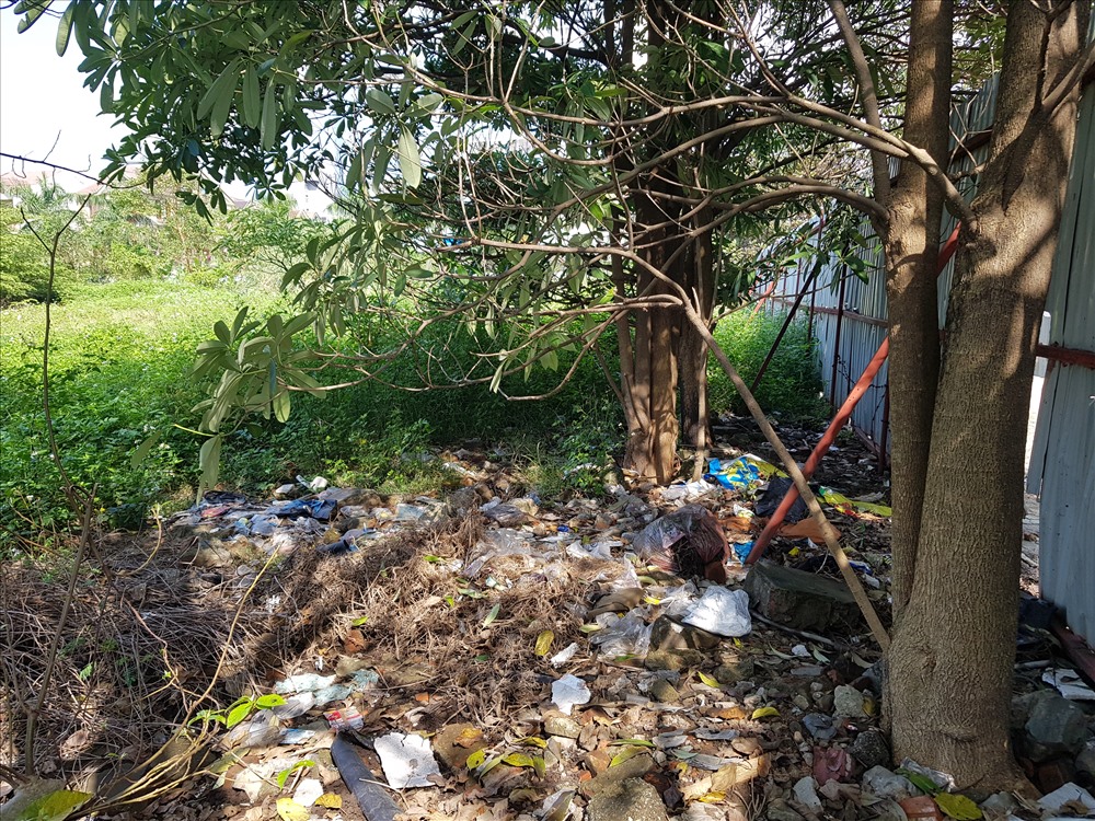 Rất nhiều loại rác được người dân bỏ lén vào đây, mặc dù thành phố Vinh đã có dịch vụ thu gom rác hoạt động thường xuyên. Ảnh: QĐ