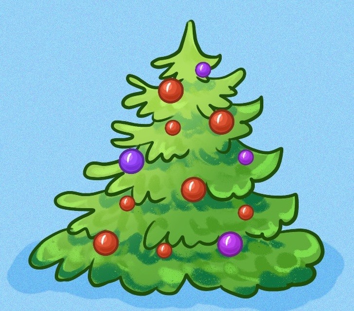 Để kiểm tra kiến thức của bạn về các loại cây thông Noel, trắc nghiệm cây thông Noel sẽ giúp bạn làm điều đó. Nhấn vào hình ảnh và tham gia trắc nghiệm để kiểm tra kiến thức của bạn.