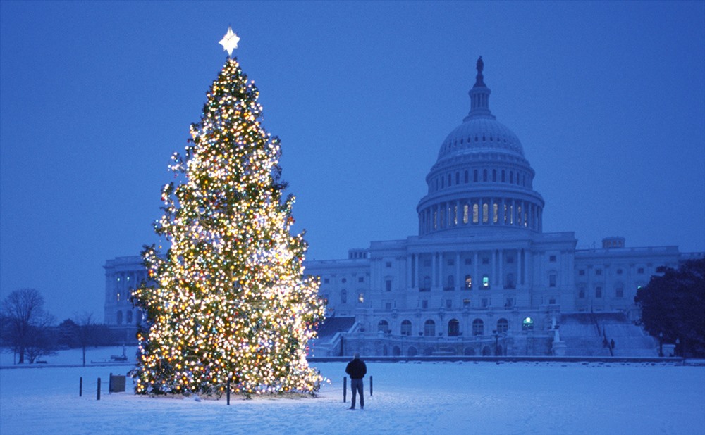Thuộc hàng những cây thông đắt nhất thế giới không thể không kể đến cây thông đặt tại Tòa nhà Quốc hội Mỹ ở Washington. Đặc biệt, đây là cây thông thật được đưa ra khỏi rừng và trồng tại trước cửa Toà nhà Quốc hội Mỹ. Mỗi dịp Noel cây thông này được trang hoàng bởi hàng ngàn bóng đèn lấp lánh. Ảnh: Finance.