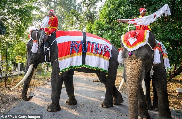 Con voi là con vật biểu tượng quốc gia của Thái Lan và xuất hiện trong suốt lịch sử và văn học nước này. Ảnh: AFP