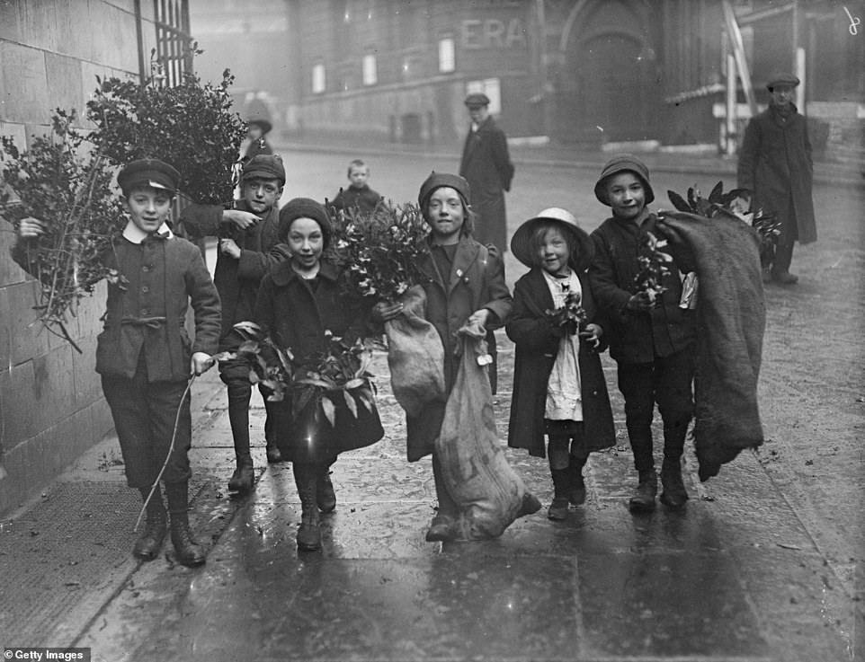 Những em bé mang cây thông và cây nhựa ruồi (holly) trên đường khi chỉ còn vài ngày nữa là tới ngày 25.12.1915.
