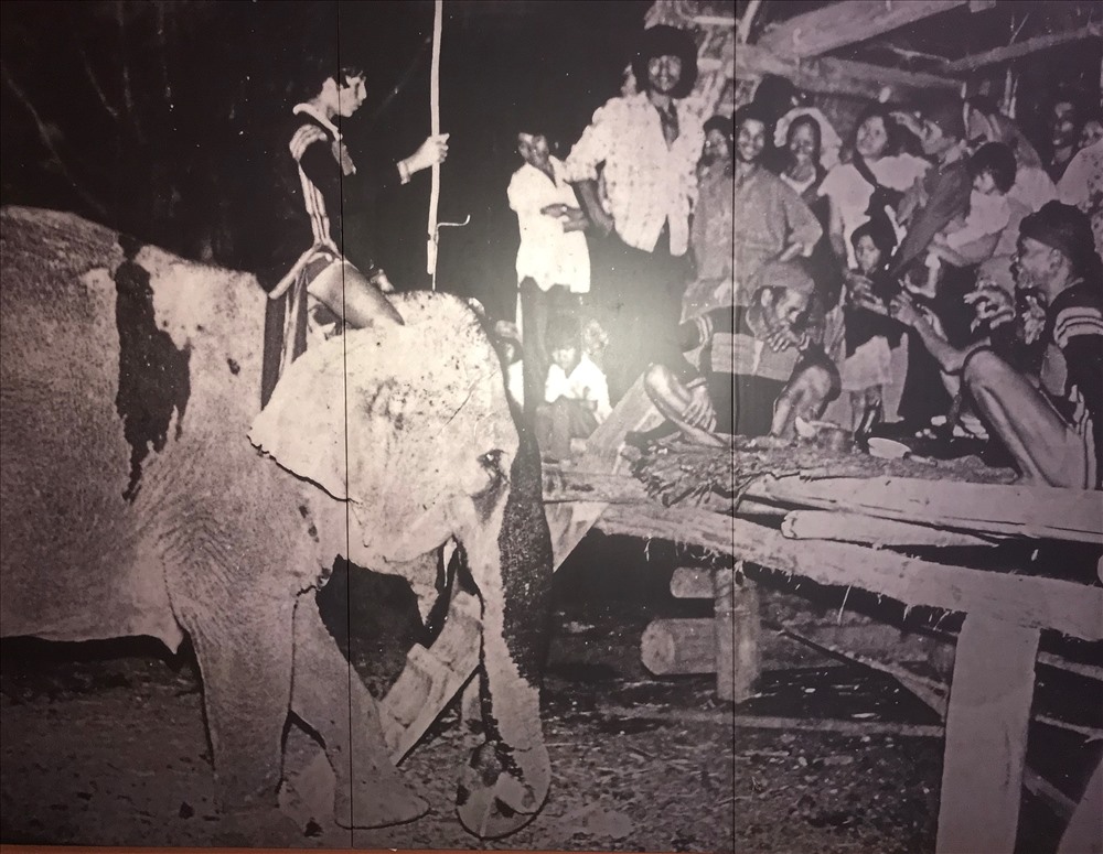 Một buổi lễ cúng sức khỏe cho voi của người Tây Nguyên. Ảnh tư liệu