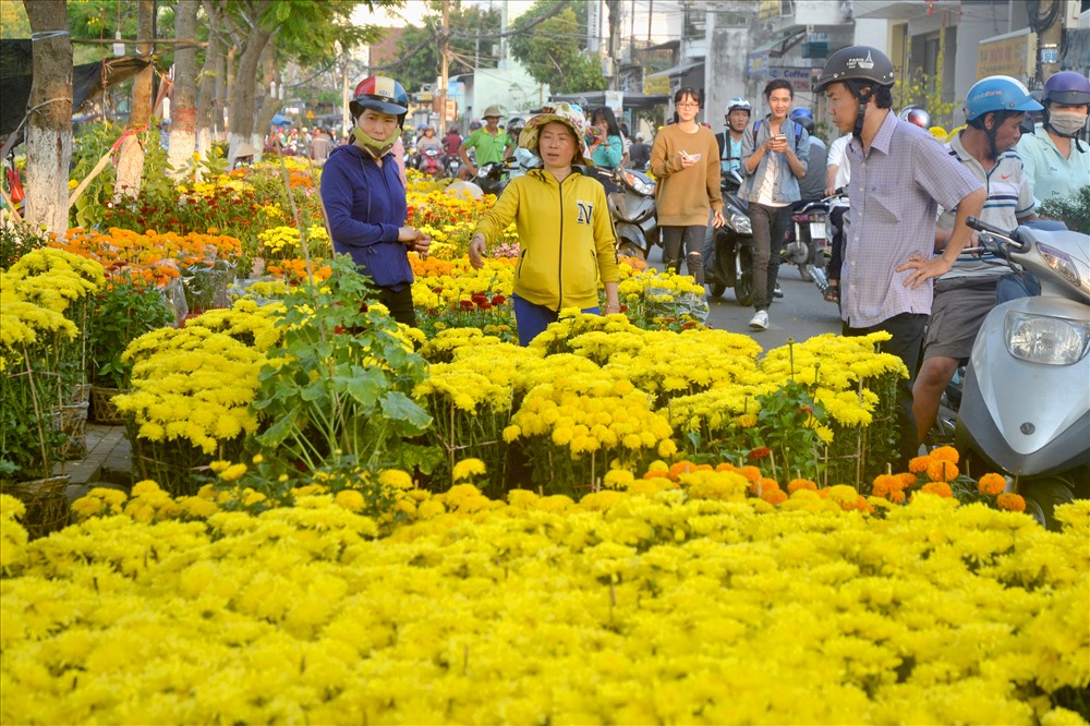 Sắc vàng hoa cúc áp đảo tại các chợ hoa Tết. Ảnh: LT