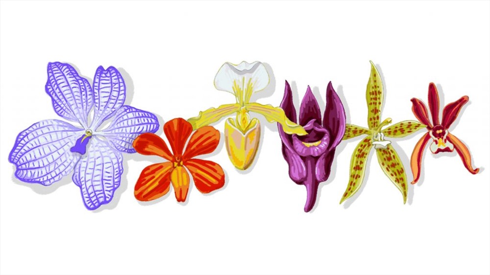 Sáu loài lan trên Doodle của Google ngày 4.12 cho người dùng ở Việt Nam và Thái Lan. Ảnh: Google.
