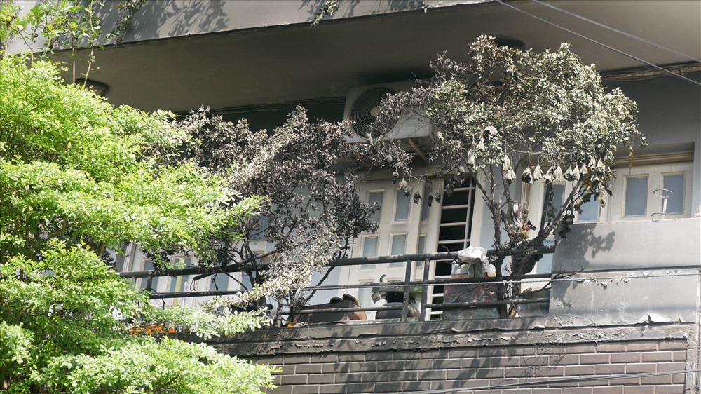 Theo thông tin ban đầu, đám cháy bùng phát vào 1h28 phút ngày 7.12, tại một nhà dân trên đường Huỳnh Tấn Phát, Phường Tân Thuận Đông, quận 7.