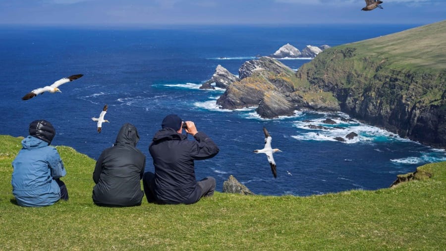 Shetland, Scotland: Visitors to these remote islands can immerse themselves in nature. The Shetland Islands are known for their incredible sea birds -- including gannets and great skua, pictured here. Shutterstock