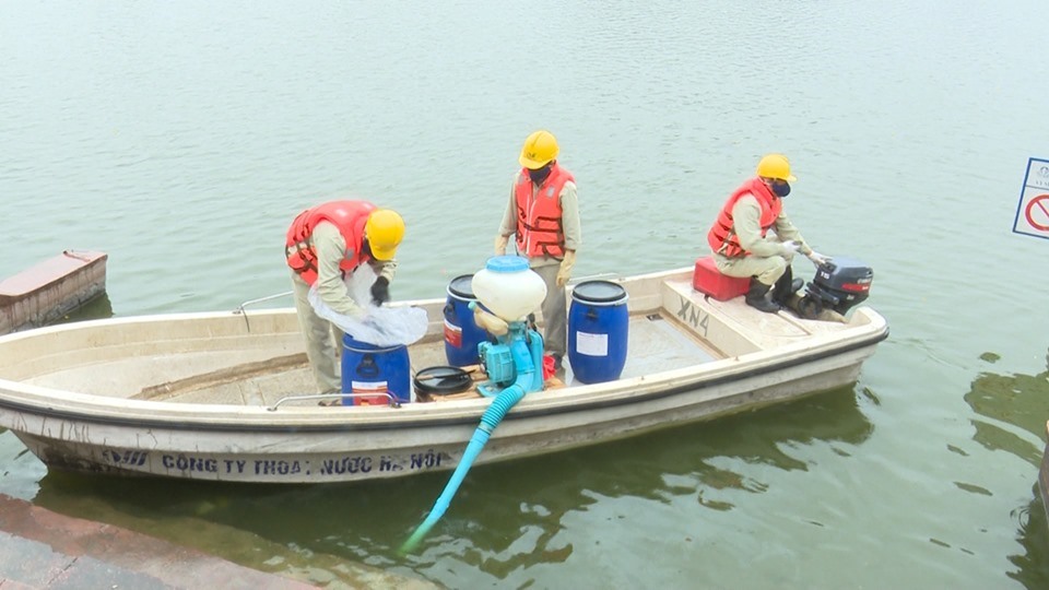 Nhân viên Công ty Thoát nước dùng chế phẩm Redoxy-3C để làm sạch hồ Ba Mẫu ở Hà Nội vào sáng 22.5