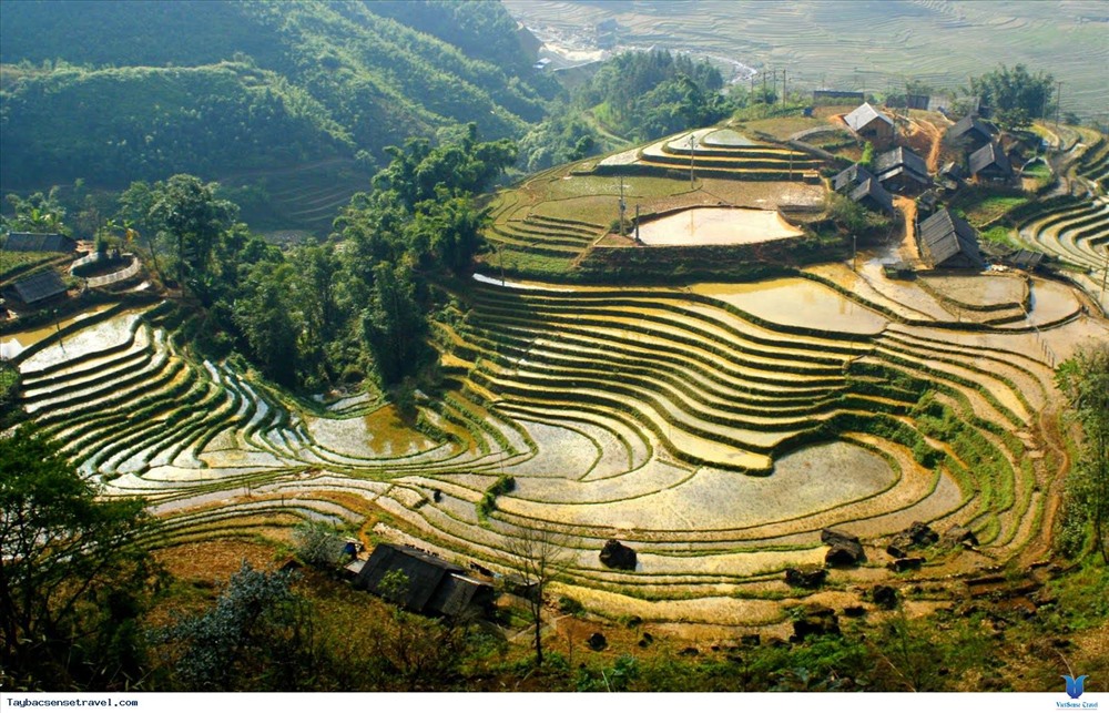 Các cánh đồng ruộng bậc thang trải dài khắp Lao Chải.