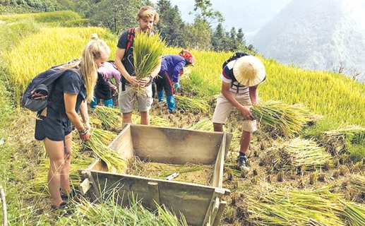 Du lịch cộng đồng