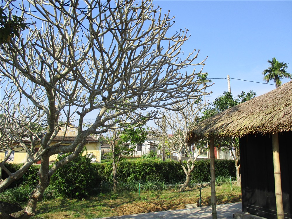 Hai bên lối vào nhà lưu niệm có hai hàng cây đẹp mắt, trước mặt là con sông hiền hòa, xung quanh nhà có hoa thơm ngát bốn mùa. Ngôi nhà tranh có 3 gian 2 chái, vách ghép ván. Cách bố trí trong ngôi nhà này rất tiện lợi và đẹp mắt, mang bóng dáng của ngôi nhà ông đồ nho xứ Nghệ.