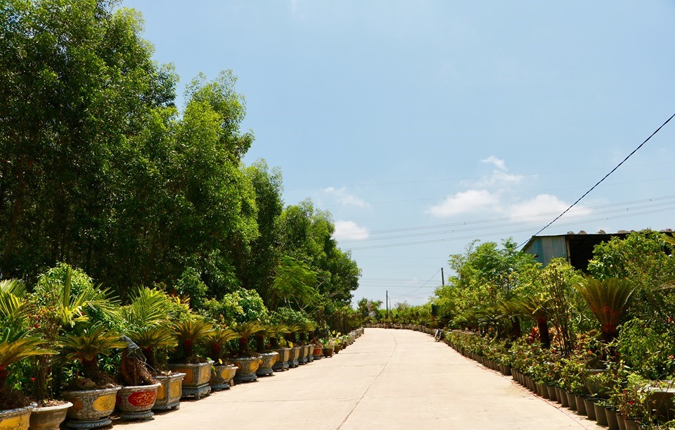 Trong khuôn viên có rất nhiều cây xanh tỏa bóng mát và hệ thống cây bon sai trị giá hàng trăm triệu đồng đặt ở khắp sơn trang.