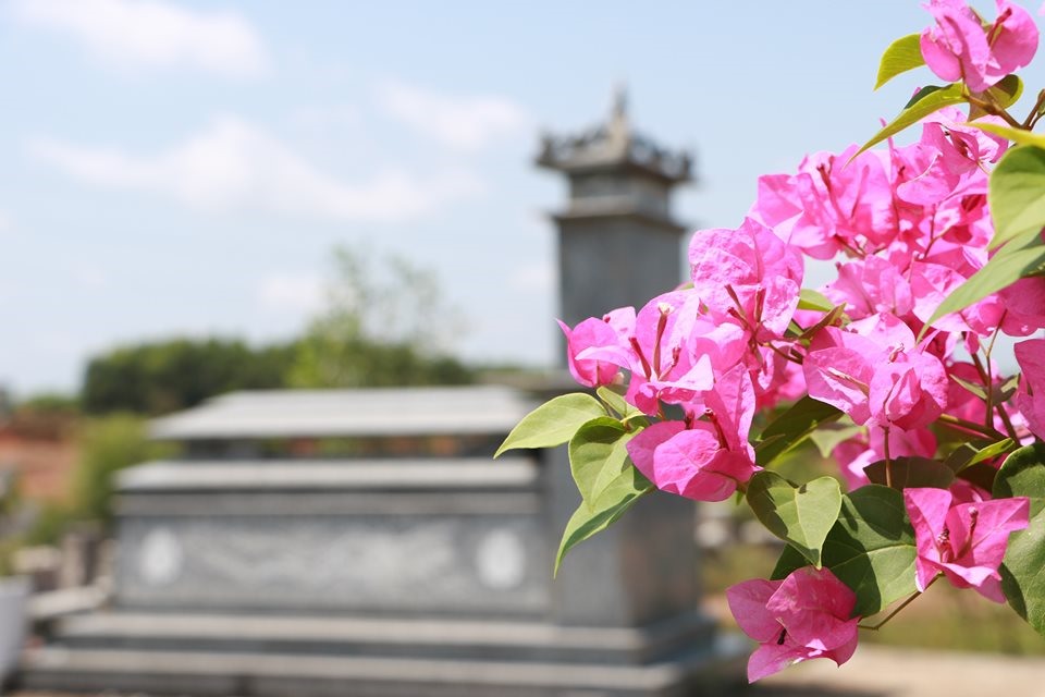 Sơn trang vĩnh hằng là một công trình độc đáo, được quy hoạch bài bản, khoa học, giúp tiết kiệm quỹ đất và bảo vệ môi trường; góp phần giảm gánh nặng cho nhà nước. Hơn cả, Sơn trang Vĩnh Hằng còn là một công viên nghĩa trang mang tầm cỡ quốc gia, hướng đến là địa điểm tham quan, du lịch sinh thái - tâm linh chứ không chỉ là nghĩa trang đơn thuần.