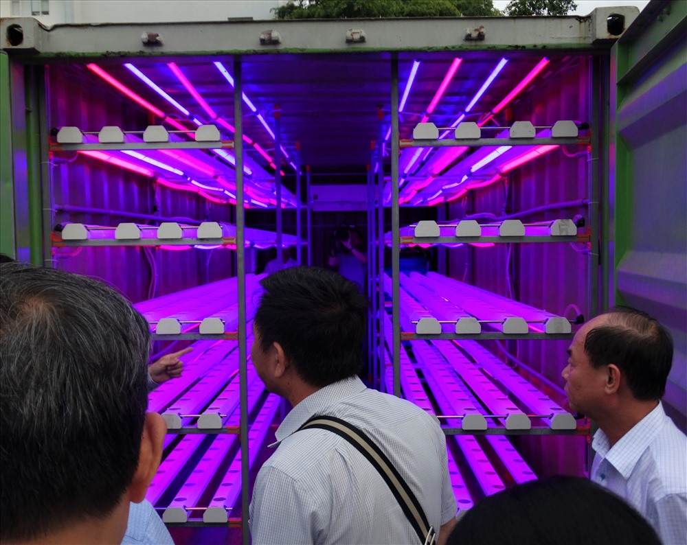 STAND ALONE - Trồng rau, củ thủy canh trong không gian kín sử dụng công nghệ đèn led giúp cây tăng trưởng