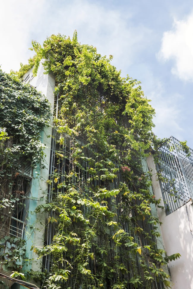 Sở dĩ KTS đặt tên cho công trình của mình là “Ngôi nhà thở” bởi sự thoáng mát, rợp bóng cây.