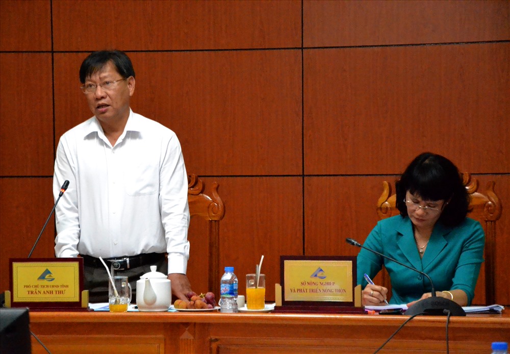 Phó Chủ tịch UBND tỉnh An Giang Trần Anh Thư phát biểu tại cuộc họp. Ảnh: Lục Tùng