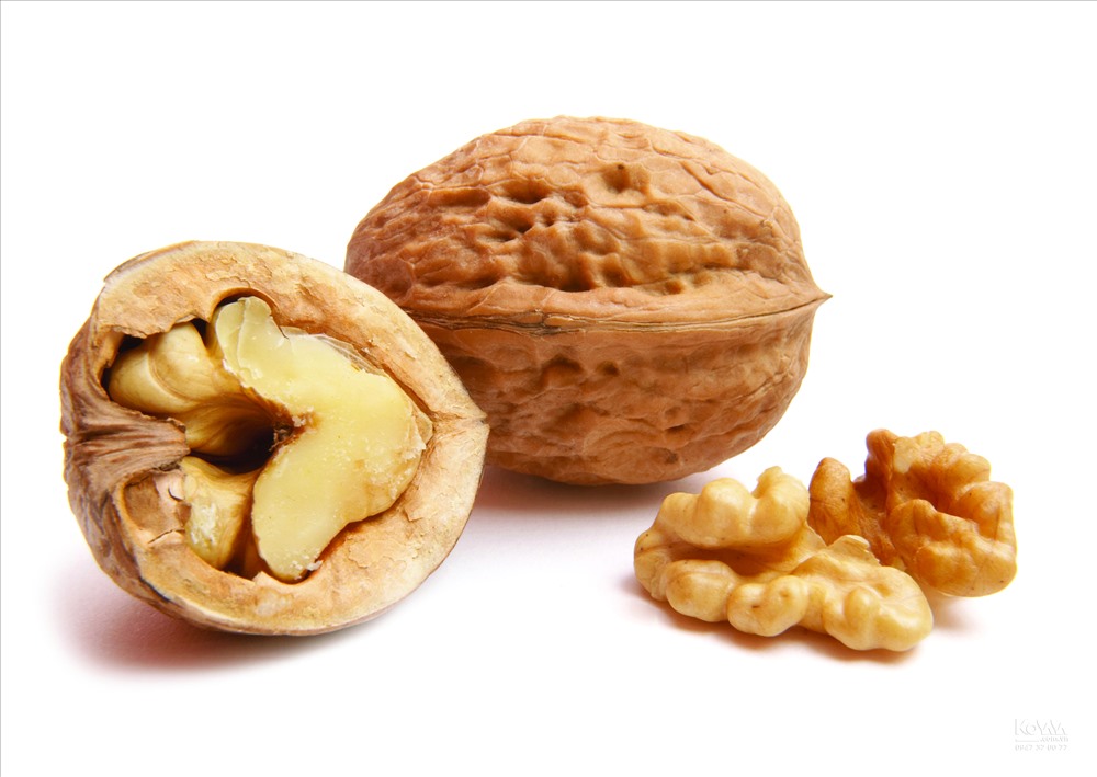 Walnut – quả óc chó là thực phẩm đầu tiên của siêu thực phẩm. Ảnh: T. L.