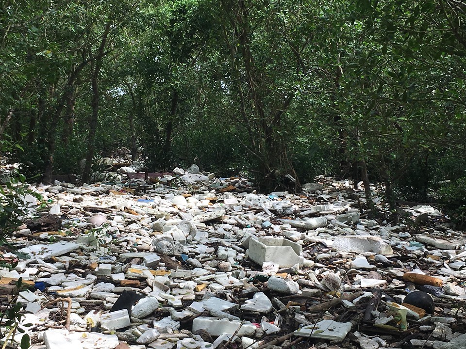 Rừng ngập mặn ở Tiên Hưng (Tiên Lãng, Hải Phòng) bị phủ kín bởi rác thải sinh hoạt. Trong số đó đa phần là nhựa, thùng xốp, chai lọ thủy tinh khó phân hủy.