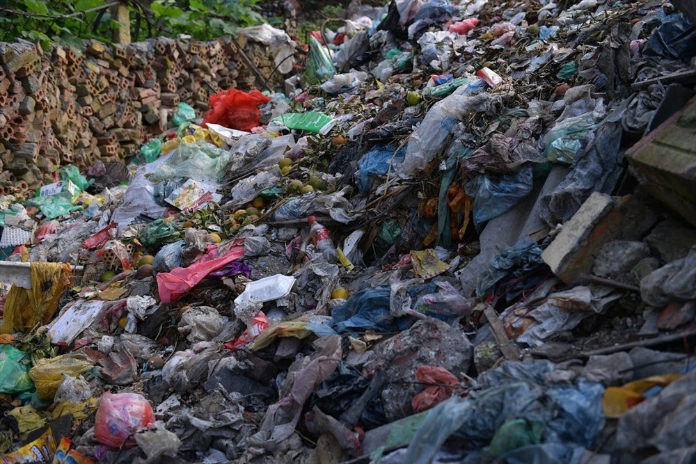 Từ rác thải nông sản đến rác thải sinh hoạt đều được tập kết tại bãi rác này. Ảnh: Sơn Tùng.