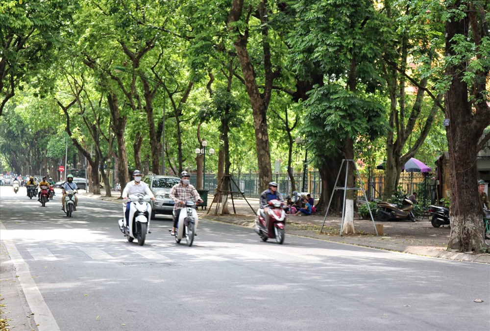 Con đường Phan Đình Phùng rợp bóng cây sấu xanh mát.